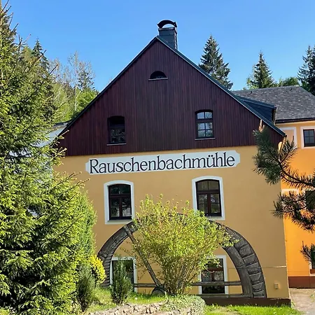 Rauschenbachmuehle Apartment Mildenau Exterior photo